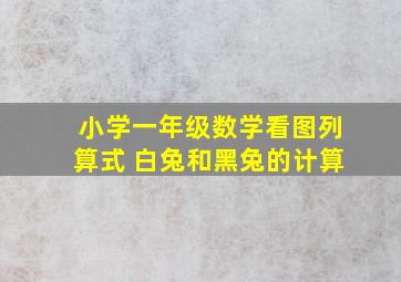 小学一年级数学看图列算式 白兔和黑兔的计算